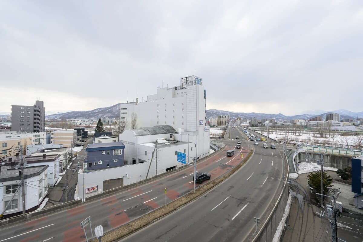 Toyohira View 706 3
