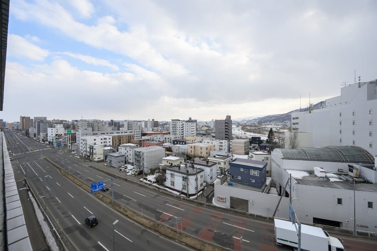 Toyohira View 901 3